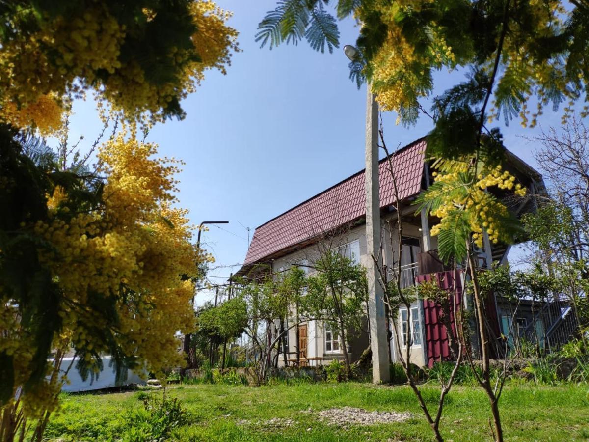 Guest House Anna Sochumi Exterior foto